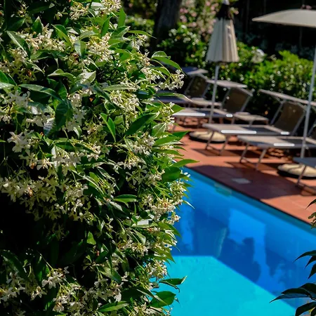Hotel Bellevue 3*